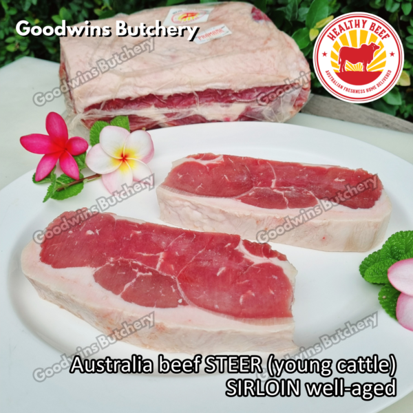 Beef SIRLOIN Australia STEER (young cattle) Healthy Beef aged-frozen WHOLE CUTS daging sapi has luar Striploin New York strip - Image 25