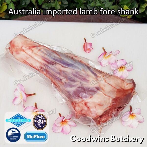 LAMB FORE SHANK kaki depan domba muda Australia frozen foreshank - Image 12