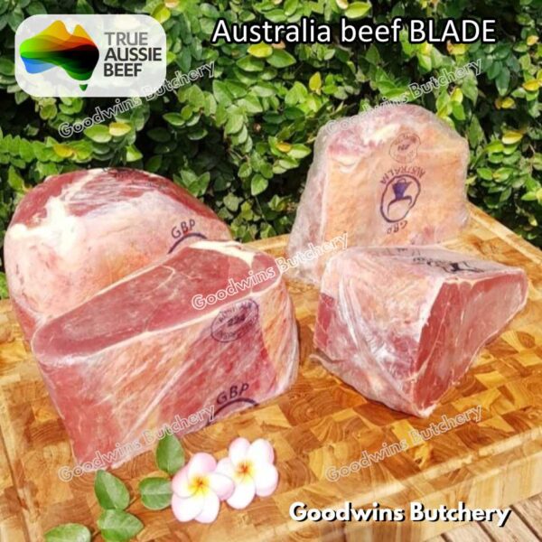 Beef BLADE daging DENDENG JERKY EMPAL | Australia RALPHS WMPG AMH GBP | Brazil FRIBOI | daging sapi sampil frozen - Image 21