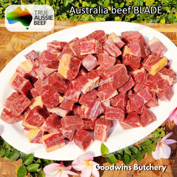 Beef BLADE daging DENDENG JERKY EMPAL | Australia RALPHS WMPG AMH GBP | Brazil FRIBOI | daging sapi sampil frozen - Image 19