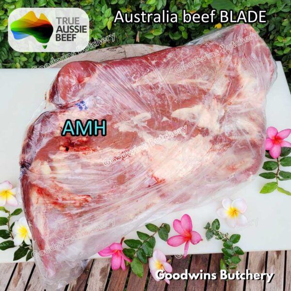 Beef BLADE daging DENDENG JERKY EMPAL | Australia RALPHS WMPG AMH GBP | Brazil FRIBOI | daging sapi sampil frozen - Image 17