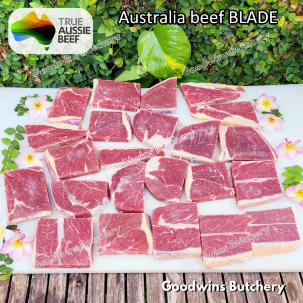Beef BLADE daging DENDENG JERKY EMPAL | Australia RALPHS WMPG AMH GBP | Brazil FRIBOI | daging sapi sampil frozen - Image 22