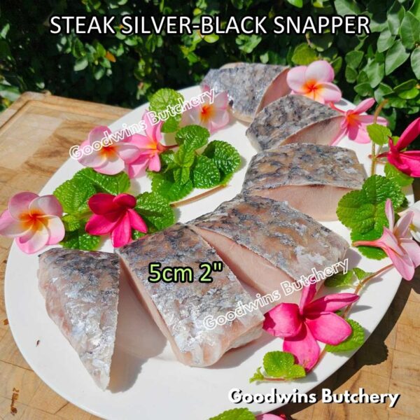 SNAPPER silver black fish fillet and steak frozen IQF GLZ-20/30 | Ikan KAKAP beku - Image 3