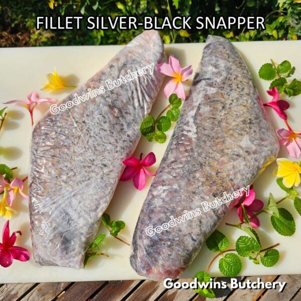 RED SNAPPER fish fillets steak frozen IQF GLZ-20/30 | Ikan KAKAP MERAH beku - Image 20