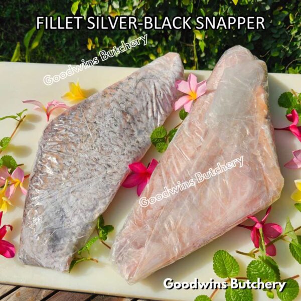 SILVER-BLACK SNAPPER fish fillets steak frozen IQF GLZ-20/30 | Ikan KAKAP beku - Image 8