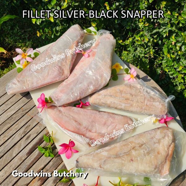 SILVER-BLACK SNAPPER fish fillets steak frozen IQF GLZ-20/30 | Ikan KAKAP beku - Image 3