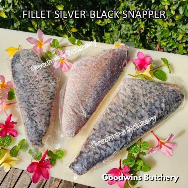 SILVER-BLACK SNAPPER fish fillets steak frozen IQF GLZ-20/30 | Ikan KAKAP beku - Image 6