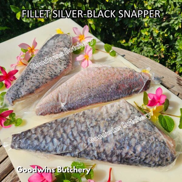 SILVER-BLACK SNAPPER fish fillets steak frozen IQF GLZ-20/30 | Ikan KAKAP beku - Image 5
