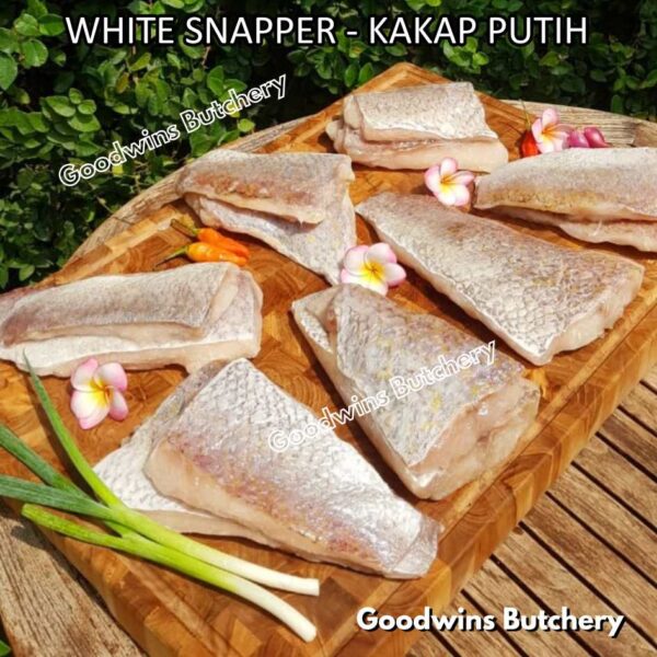 RED SNAPPER fish fillets steak frozen IQF GLZ-20/30 | Ikan KAKAP MERAH beku - Image 16