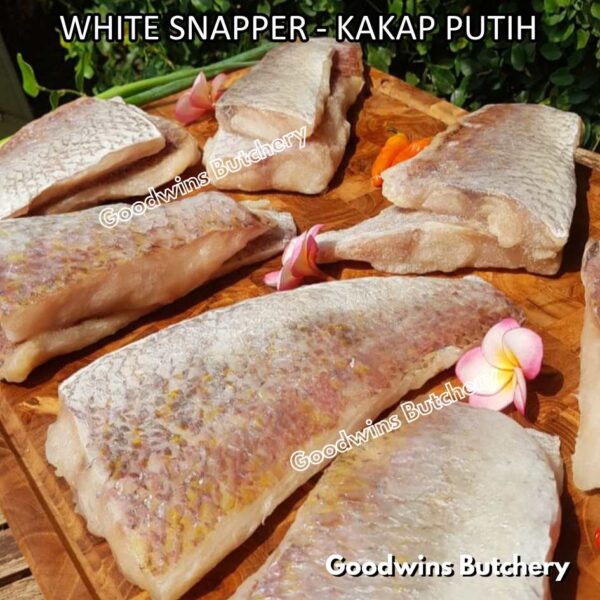 RED SNAPPER fish fillets steak frozen IQF GLZ-20/30 | Ikan KAKAP MERAH beku - Image 15