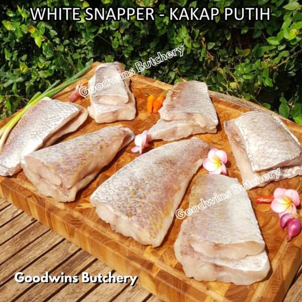 RED SNAPPER fish fillets steak frozen IQF GLZ-20/30 | Ikan KAKAP MERAH beku - Image 14