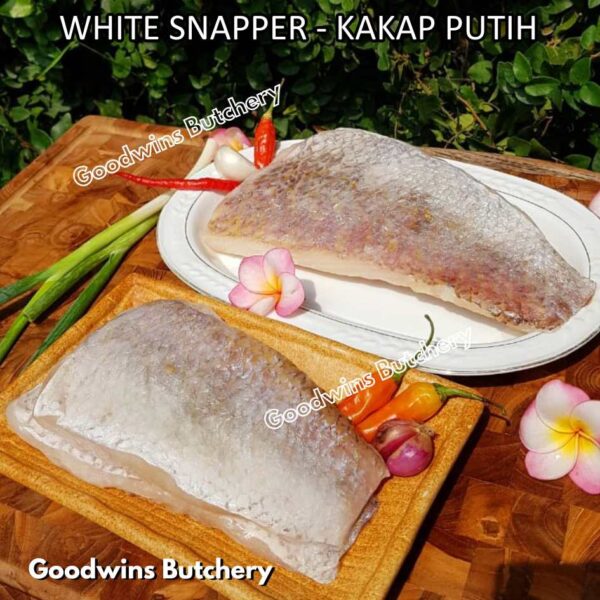 RED SNAPPER fish fillets steak frozen IQF GLZ-20/30 | Ikan KAKAP MERAH beku - Image 13