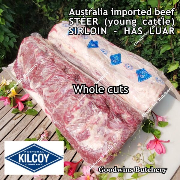Beef SIRLOIN Australia PR-STEER (young cattle) Kilcoy aged-frozen STEAK CUTS daging sapi has luar Striploin New York strip - Image 31