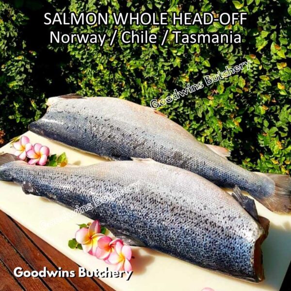 SALMON WHOLE UTUH imported Norway Tasmania Chile frozen 5-6kg - Image 35