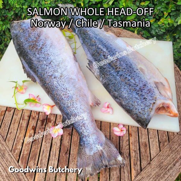 SALMON WHOLE UTUH imported Norway Tasmania Chile frozen 5-6kg - Image 32