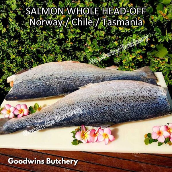 SALMON WHOLE UTUH imported Norway Tasmania Chile frozen 5-6kg - Image 31