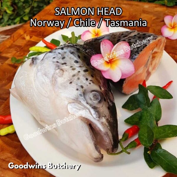 SALMON WHOLE UTUH imported Norway Tasmania Chile frozen 5-6kg - Image 29