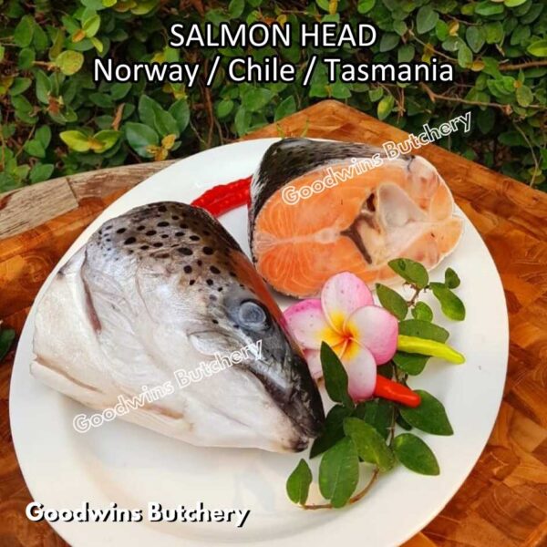 SALMON WHOLE UTUH imported Norway Tasmania Chile frozen 5-6kg - Image 28