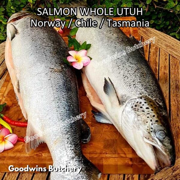 SALMON WHOLE UTUH imported Norway Tasmania Chile frozen 5-6kg - Image 43